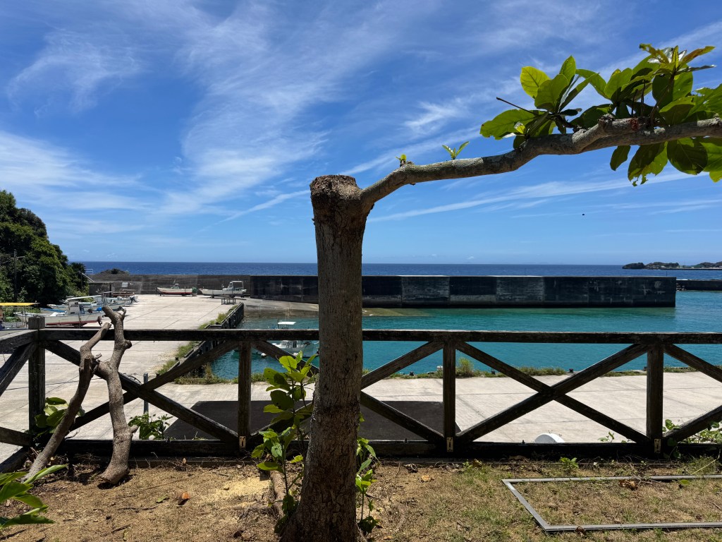 木を切ったよって話。